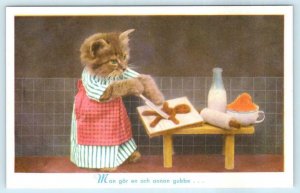 DRESSED CAT Making GINGERBREAD MAN in Kitchen, Milk  Anthropomorphic Postcard