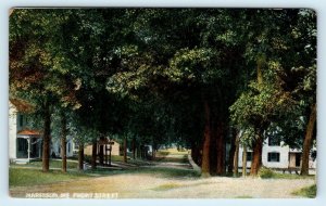 HARRISON, ME Maine ~ FRONT STREET SCENE  1909 Cumberland County Postcard