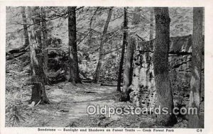 Sandstone, Forest Trails Cook Forest Park Unused 