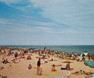Rehoboth Beach Delaware Postcard Beach Swimmers Sun Bathers Ocean View Unused