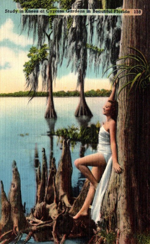 Florida Cypress Gardens Beautiful Girl Study In Knees