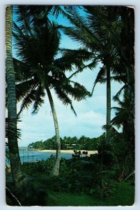 Dorado Puerto Rico Postcard Greetings from Puerto Rico Secluded Area 1959