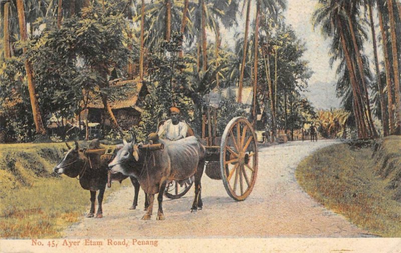 Ayer Etam Road PENANG Ox Cart Malaysia 1909 Vintage Postcard