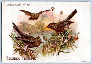 FISCHER PIANOS*BIRDS*BUFFORD LITHO*VICTORIAN TRADE CARD*1880's