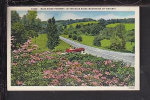 Blue Ridge Parkway,Blue Ridge Mountains,VA Postcard 