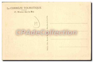 Postcard Old Sheep In The Woods