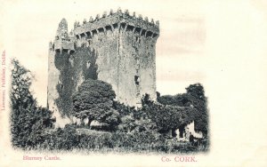 Vintage Postcard 1900's Blarney Castle Co Cork Lawrence Publisher Dublin Ireland