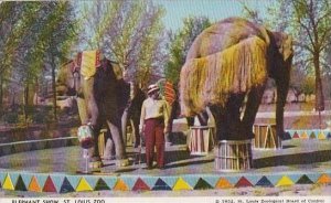 Missouri St Louis Zoo Elephant Show