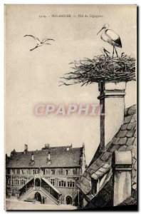 Old Postcard Mulhouse Nest Clgognes