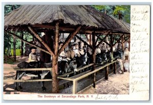 1907 The Donkeys at Sacandaga Park New York NY Antique Posted Postcard 