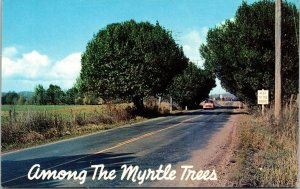 Among Myrtle Trees Oregon OR Old Car Postcard Plastichrome VTG UNP Unused 