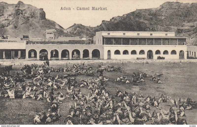 ADEN , Yemen , Camel Market , 00-10s