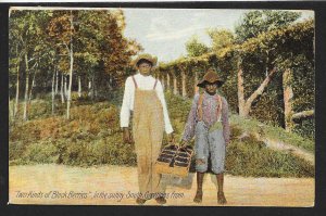 'Two Kinds of Black Berries' Black Boys & Black Berries Unused c1910s