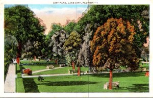 Florida Lake City View In City Park