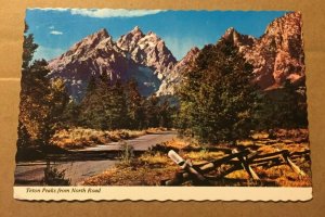 UNUSED POSTCARD - TETONS PEAK FR NORTH ROAD, GRAND TETON NATL PARK, WYOMING