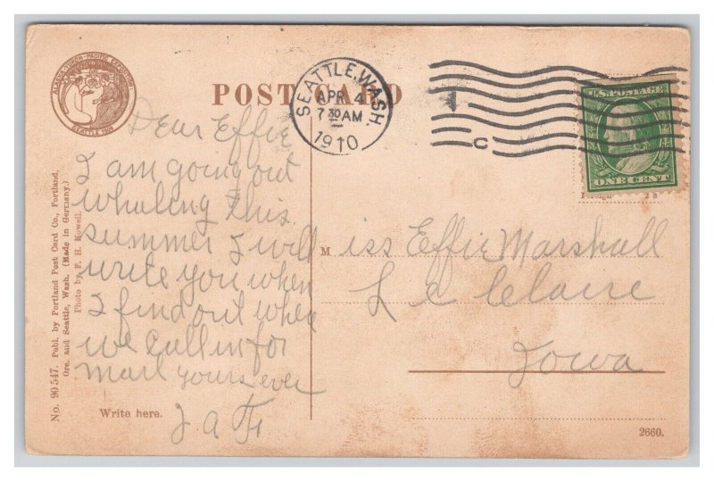 White Horse Yukon Alaska Postcard c1910 Postmark