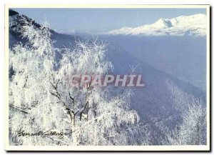 Postcard Modern Tree under snow