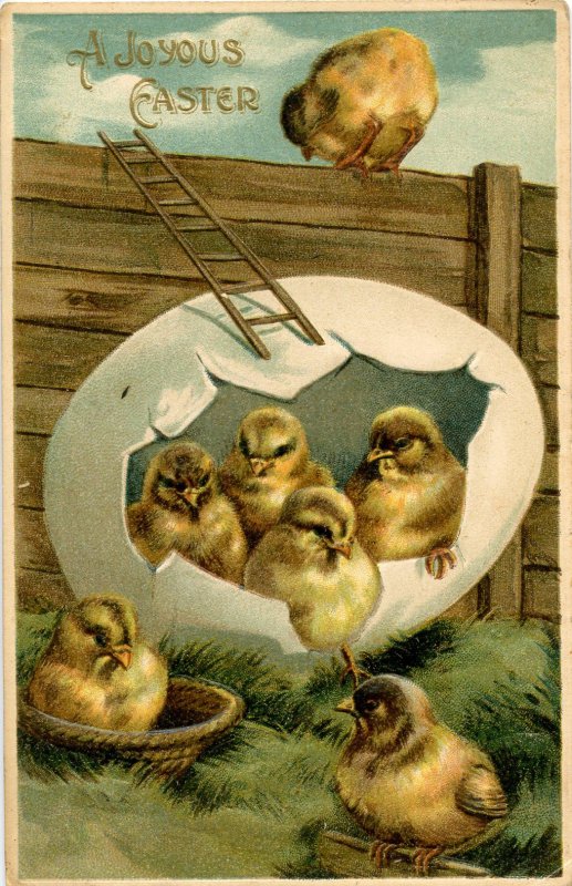 Greeting - Easter     (chicks)