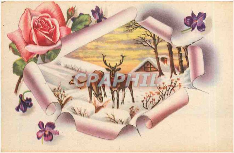 Old Postcard Flowers Biches