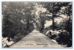 1910 Levee Drive Road Trees Exterior Jackson Tennessee Vintage Antique Postcard