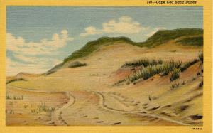 MA - Cape Cod. Sand Dunes