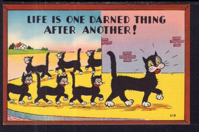 Life is One Darned Thing After Another. Cat Comic