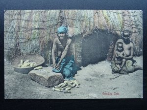 South Africa ZULU GRINDING CORN c1908 Postcard by Sallo Epstein & Co. Durban