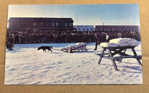 VINTAGE PC UNUSED - ONE DOG PULL - HUNTER IS THE DOG, WHITEHORSE, YUKON, CANADA