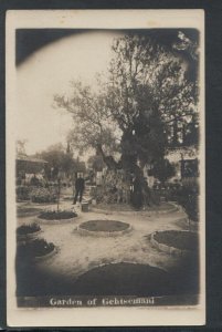 Middle East Postcard - Garden of Gehtsemane (Gehtsemani), Jerusalem   T3835