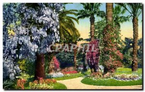 Old Postcard The Cote d & # 39Azur Jardin Fleuri