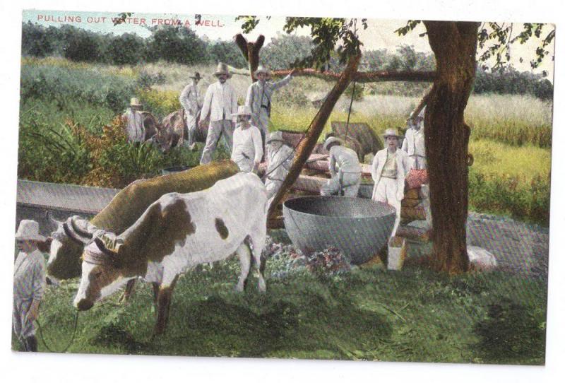 Cuba Pulling Out Water From a Well ca 1910