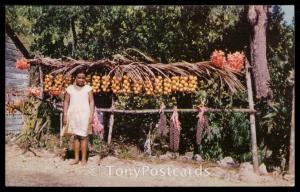 Little Fruit Vendor, Jamaica