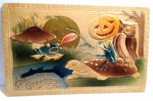 Halloween Postcard Fantasy Turtle Owl Frog Moon Goblin Honk Mushroom Pond 1911 