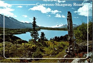 Continental Postcard Carcross Skagway Road Alaska Yukon Canada CE18