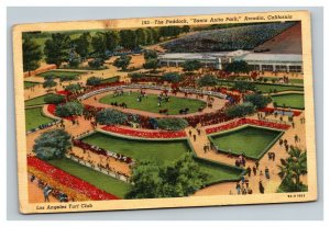 Vintage 1944 Postcard Paddock Santa Anita Park Horse Racing Arcadia California