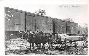 Rapid Transit - Callicoon, New York