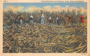 CUTTING SHOCKING & STACKING SUGAR CANE LOUISIANA BLACK AMERICANA POSTCARD 1940s