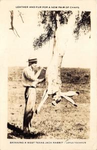 Skinning West Texas Exaggerated Jack Rabbit~Vintage McCormick Co RPPC @ Amarillo