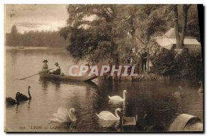 Old Postcard Lyon Park gold Tete Swans