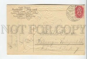 462246 SQUIRREL on Pine Tree EMBOSSED Vintage postcard 1907 year