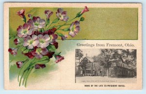 FREMONT, OH Ohio ~ HOME of 19th PRESIDENT RUTHERFORD HAYES c1910s Postcard