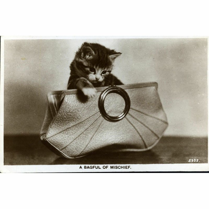 Valentine's Real Photograph Postcard 'A Bagful of Mischief'