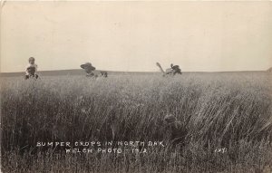 J21/ Billings County? North Dakota RPPC Postcard c1910 Wheat Field Welch 216
