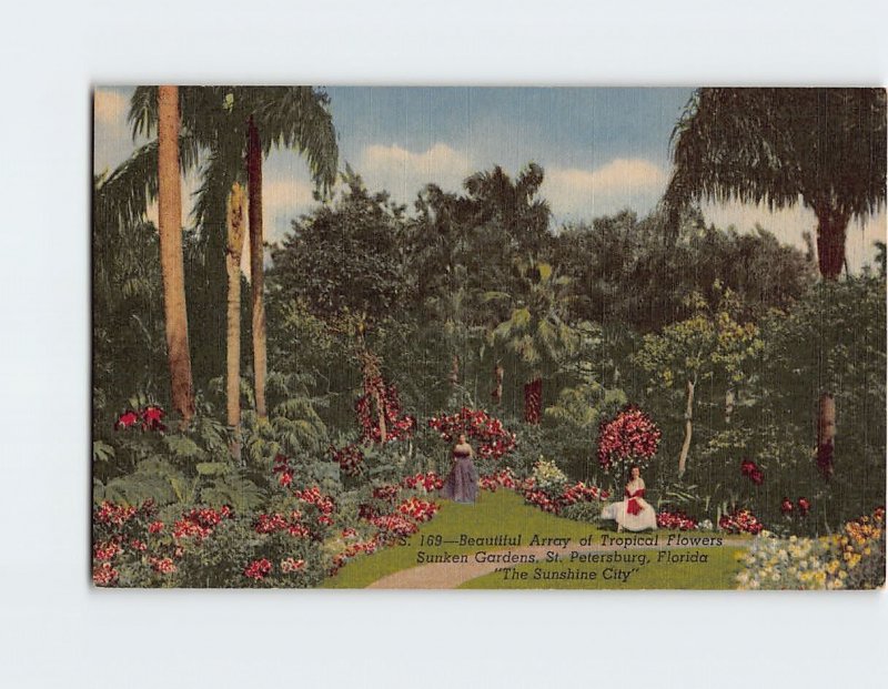 Postcard Beautiful Array of Tropical Flowers, Sunken Gardens, St. Petersburg, FL