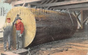 GOING TO THE MILL FROM AN OREGON FOREST LOGGING POSTCARD 1911