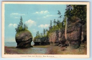 Hopewell Cape near MONCTON New Brunswick CANADA Postcard