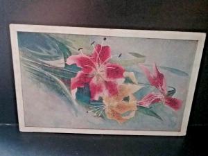 Postcard  ORCHID FLOWERS 1910