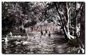 Postcard Modern Souppes sur Loing Swimming