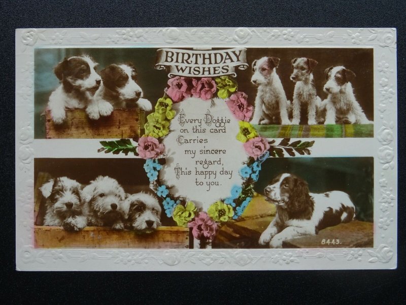 DOGGIE Birthday Greetings TERRIER Dog Breed & Spaniel c1930s RP Postcard