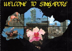 us7321 welcome to singapore